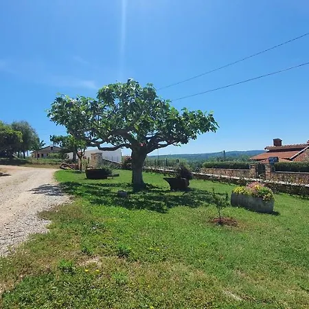 Krizmanic Kaštelir